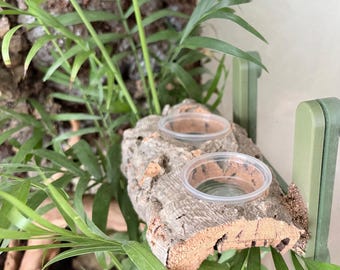 Vasthoudbare magnetische kurkschorsvoederplank – reptielenvoederplank voor bioactieve terraria