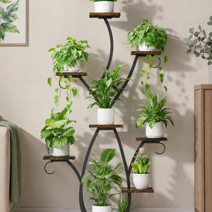 May include: A tall, multi-tiered plant stand featuring a black metal frame with curved supports and dark wood-grain shelves. The structure holds ten potted plants in white containers, arranged at varying heights to create a vertical display.