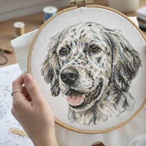 May include: A cross-stitch embroidery of a dog's face in a wooden hoop. The dog has a speckled coat of gray, black, and white. The dog's mouth is open, revealing a pink tongue. The embroidery is held by a person.