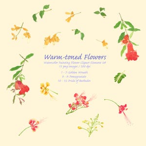May include: A watercolour clipart set of warm-toned flowers, including Golden Wreath, Pomegranate, and Pride of Barbados. The image displays various flowers and leaves in red, yellow, and green hues, set against a pale yellow background.