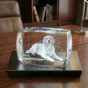 May include: A clear, rectangular crystal block with a 3D image of a golden retriever dog inside. The dog is lying down. The text "Adel, Always In Our Hearts" is etched on the front of the block. The block sits on a black base.