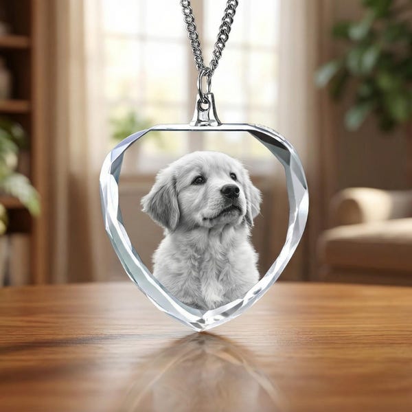 Custom Pet Photo Necklace, Heart Crystal Pendant, Memorial Keepsake, Dog Cat Portrait