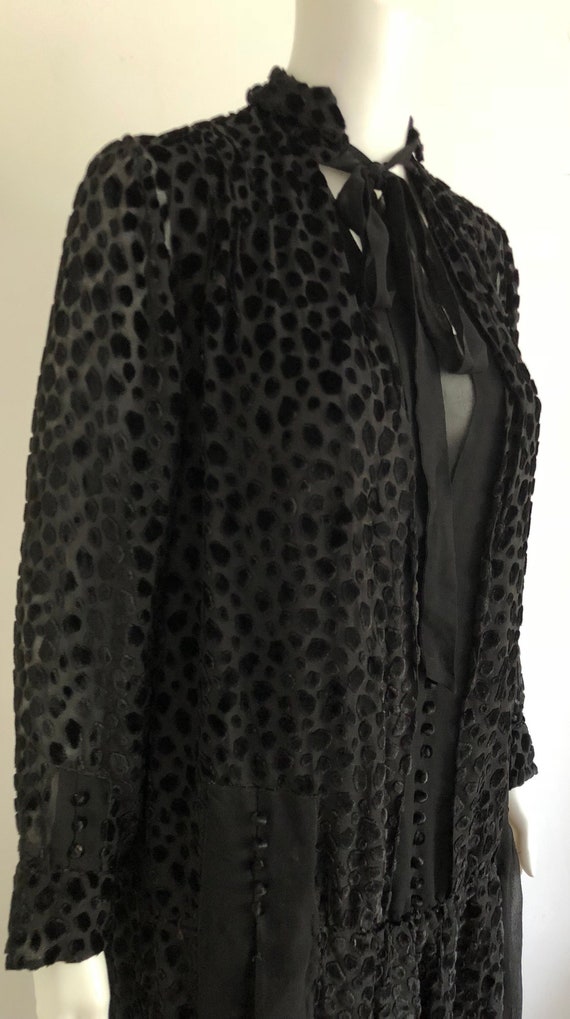 Stunning 1920's Silk Devore Dress