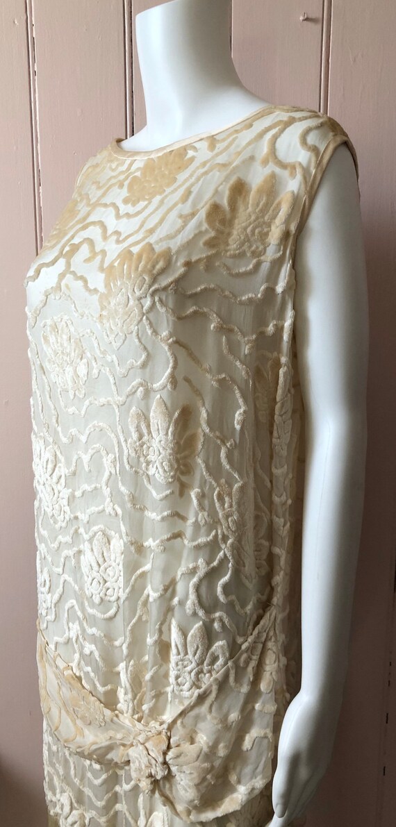 Fantastic 1920’s Silk Devore Dress