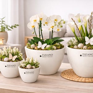 Op de afbeelding: Een verzameling witte keramische bloempotten met diverse bloemstukken, waaronder orchideeën en calla's. Elke pot is voorzien van het "TIZIANO" logo en versierd met decoratieve vlinders en kleine stenen. De potten staan op een houten tafel.