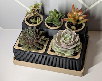 Tiered Succulent Planter with Drainage, Modern Desk Decor