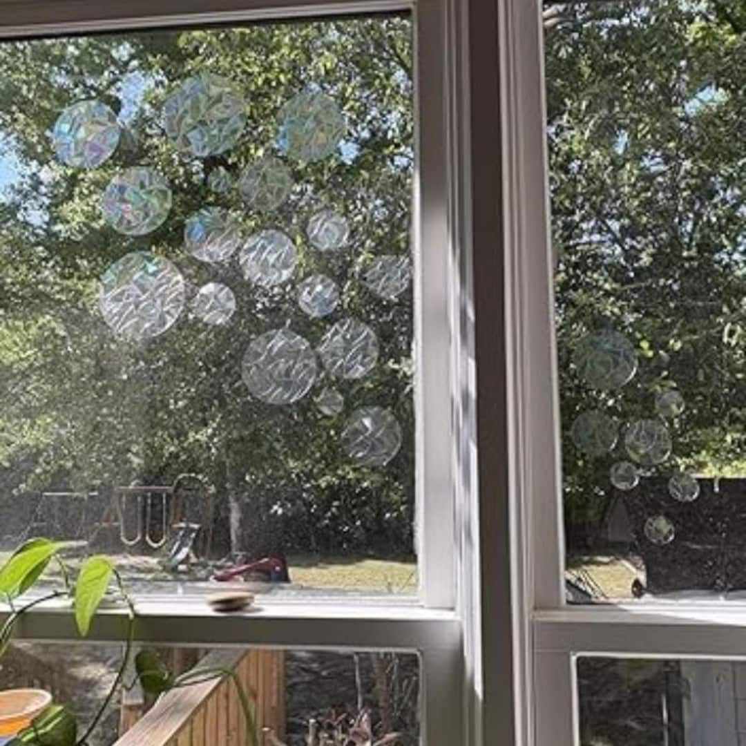 36 Rainbow Circle Window Clings – Bird Safe Window Decals | Anti ...
