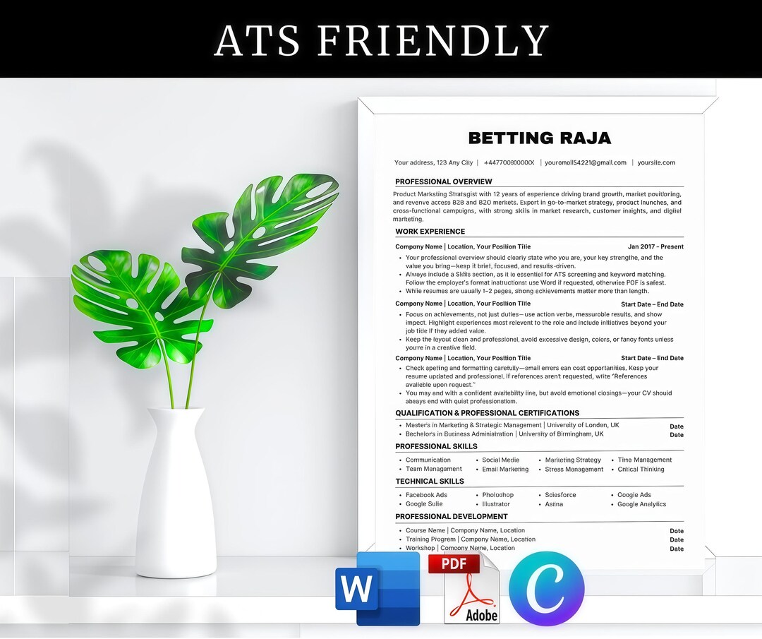 ATS Friendly Resume, ATS CV Template, Executive Resume, Minimalist ...