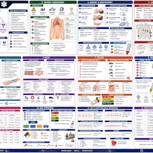 May include: A comprehensive AEMT study sheet featuring twelve sections of medical reference material, including patient assessment, airway management, cardiovascular data, trauma protocols, and medication guides with detailed charts and diagrams.