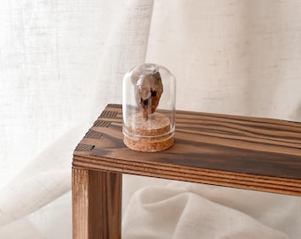 Luna Moth Cocoon Mini Dome