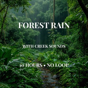 May include: A lush green forest scene with a small creek flowing through the center. The white text overlay reads FOREST RAIN, WITH CREEK SOUNDS, and 10 HOURS • NO LOOP. The dense vegetation features various shades of green leaves and tall trees.