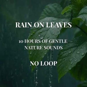 May include: A digital graphic featuring vibrant green leaves covered in clear raindrops during a rainstorm. The white text reads: RAIN ON LEAVES, 10 HOURS OF GENTLE NATURE SOUNDS, NO LOOP. The background shows a dark, moody, and rainy atmosphere.