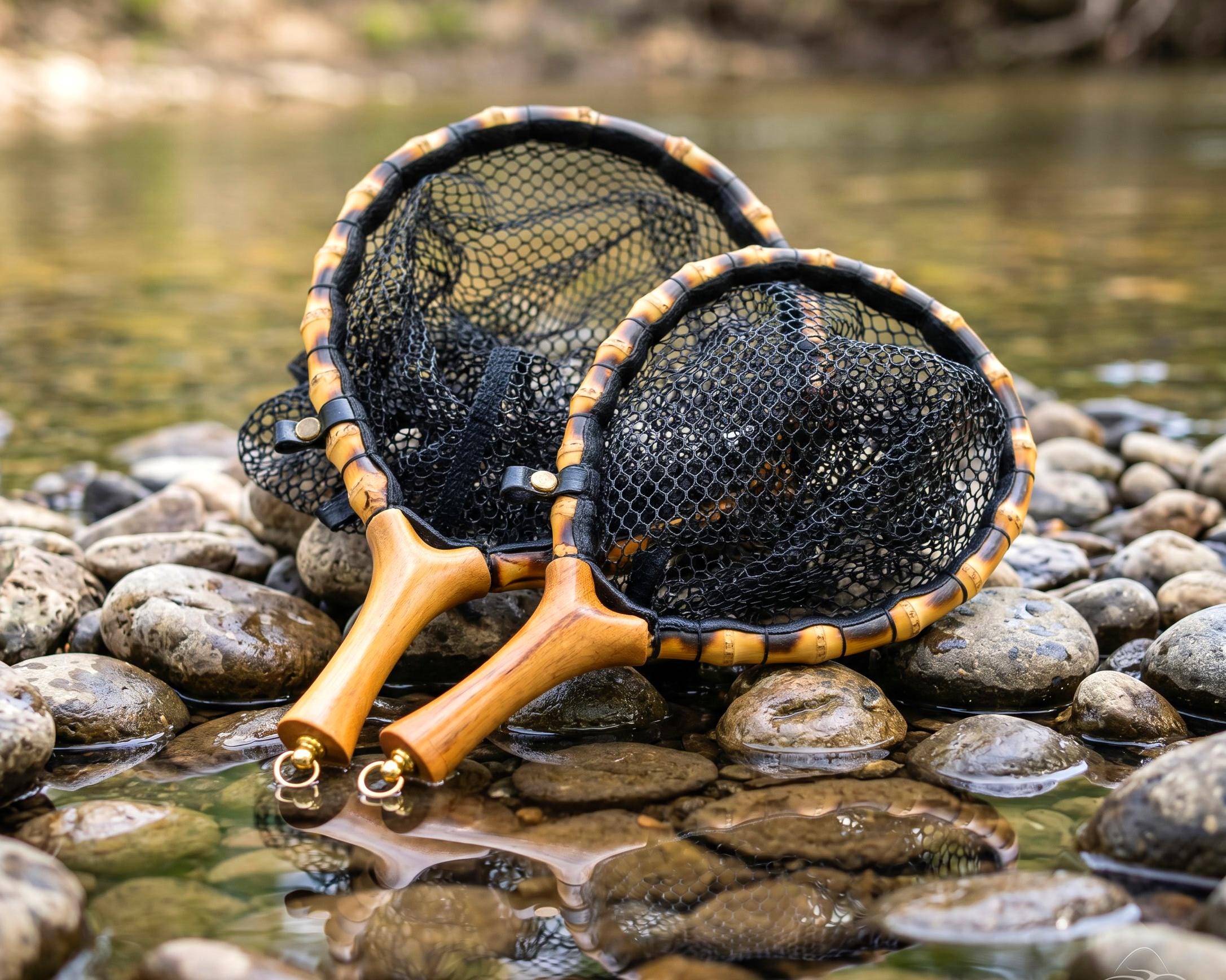 carp fishing pole The Best Of The Best?