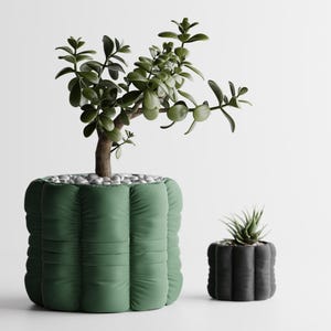 May include: Two decorative planters. A large, green, quilted planter holds a small tree with green leaves and a brown trunk. The planter is filled with small, grey stones. A smaller, black, quilted planter holds a succulent.