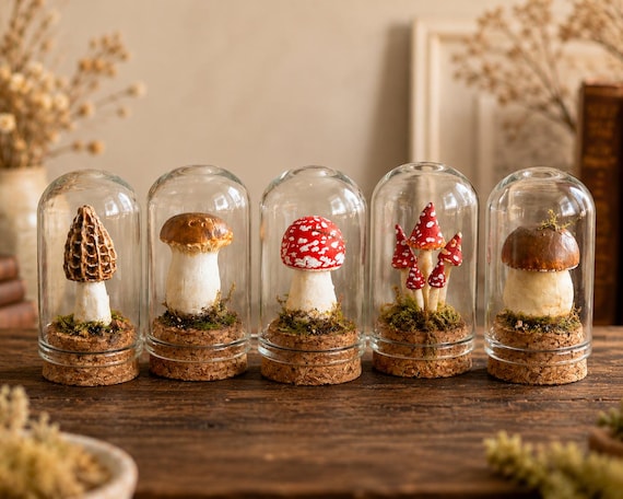 Handmade Mini Mushroom Terrarium, Glass Dome Woodland Decor, Cottagecore Fairycore Display