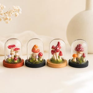 May include: Four glass domes, each containing miniature artificial mushrooms in red, orange, and purple, set on circular wooden bases in varying shades of brown and black. The mushrooms are nestled in green moss, creating a small forest scene.