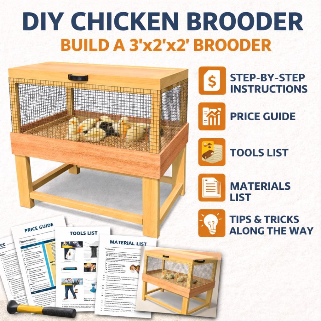 DIY Chicken Brooder & Small Animal Cage Plans: Beginner-Friendly Build Guide (Digital Download) image 4