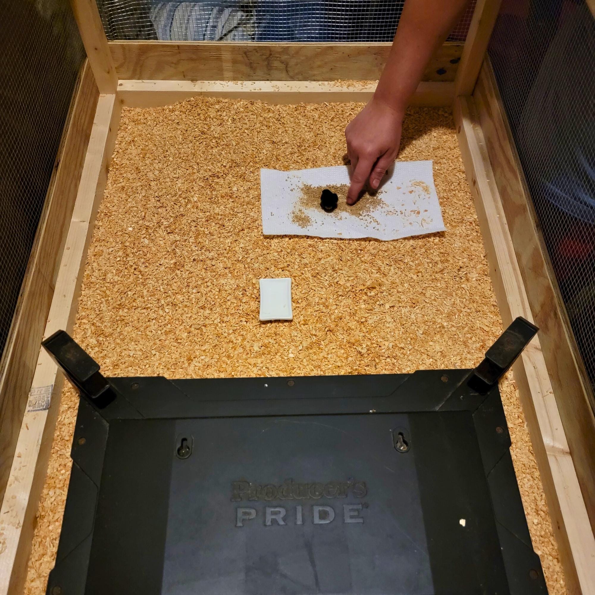 DIY Chicken Brooder & Small Animal Cage Plans: Beginner-Friendly Build Guide (Digital Download) image 8