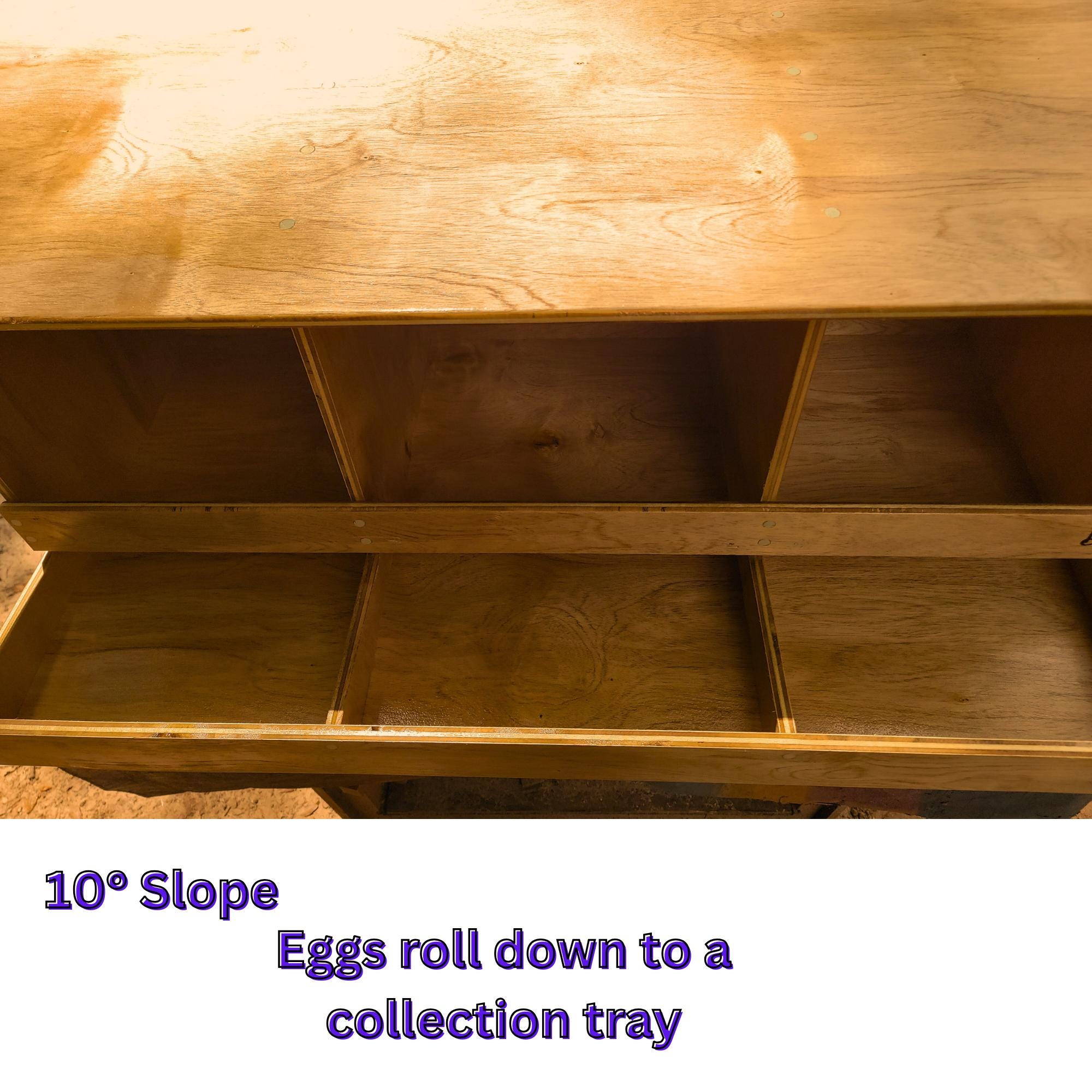 Roll-Out Nesting Box CNC Files, DXF STL Router Plans for Clean Egg Collection Digital Download image 8