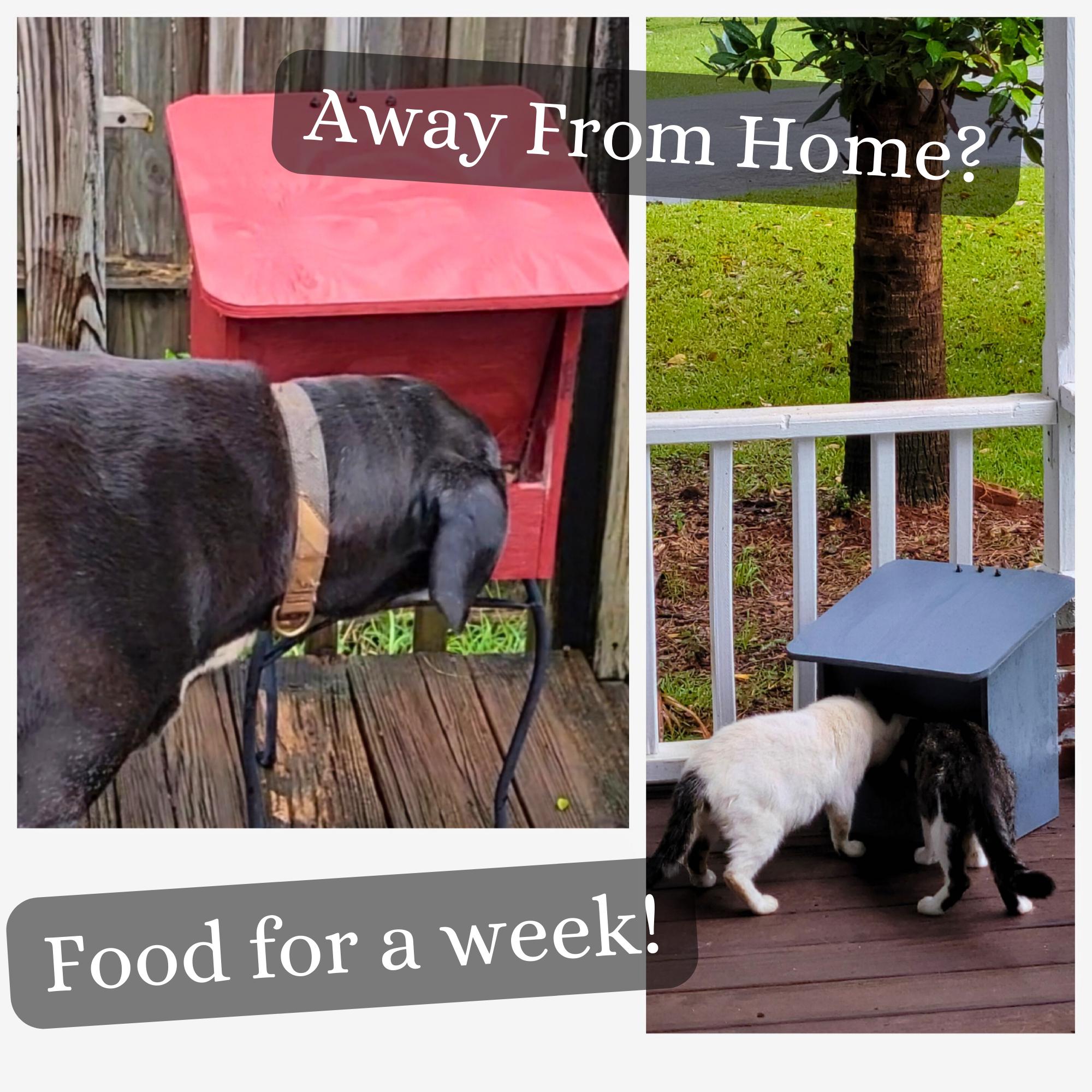 Outdoor Animal Feeder Plans, Gravity-Fed Weatherproof Design with DXF and STL Files, Digital Download image 3