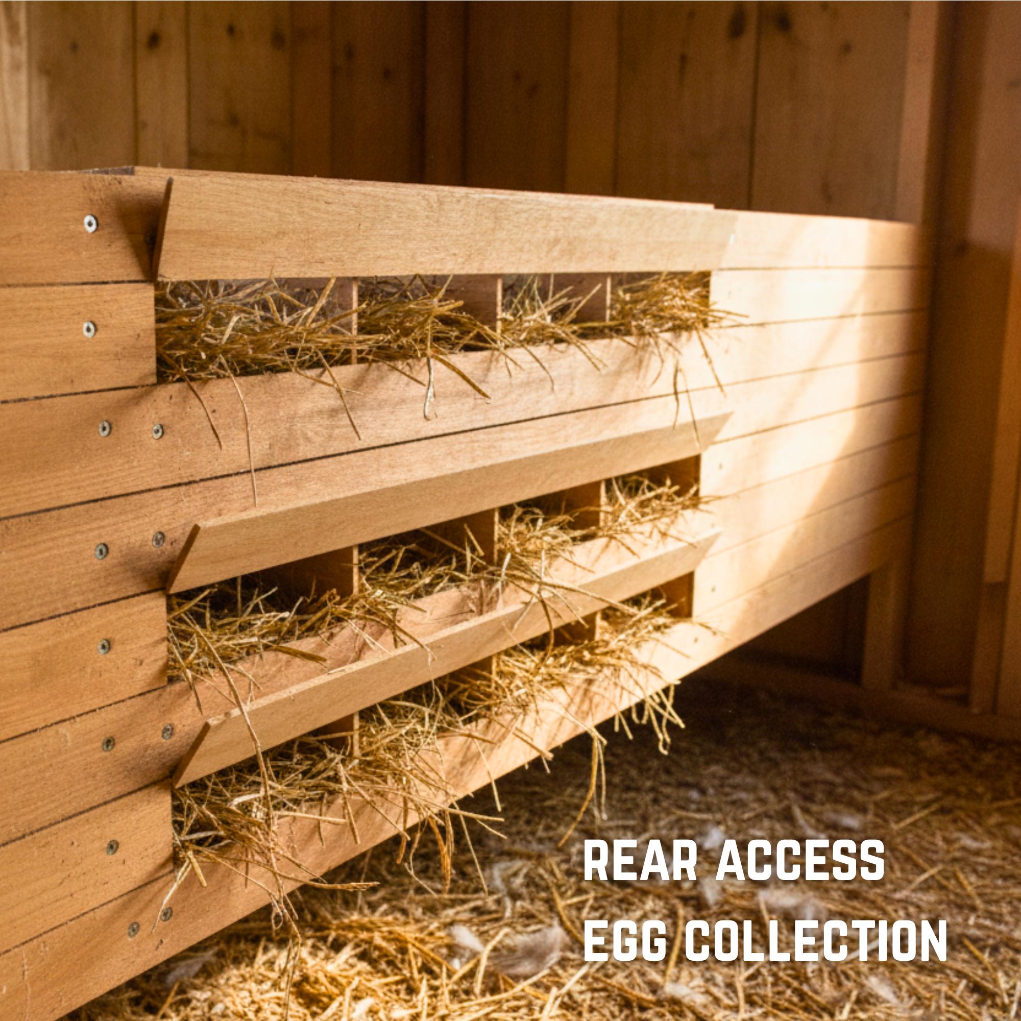 12-Hen Nesting Box Plans, Rear Access Egg Collection Build Guide (PDF Download) image 3