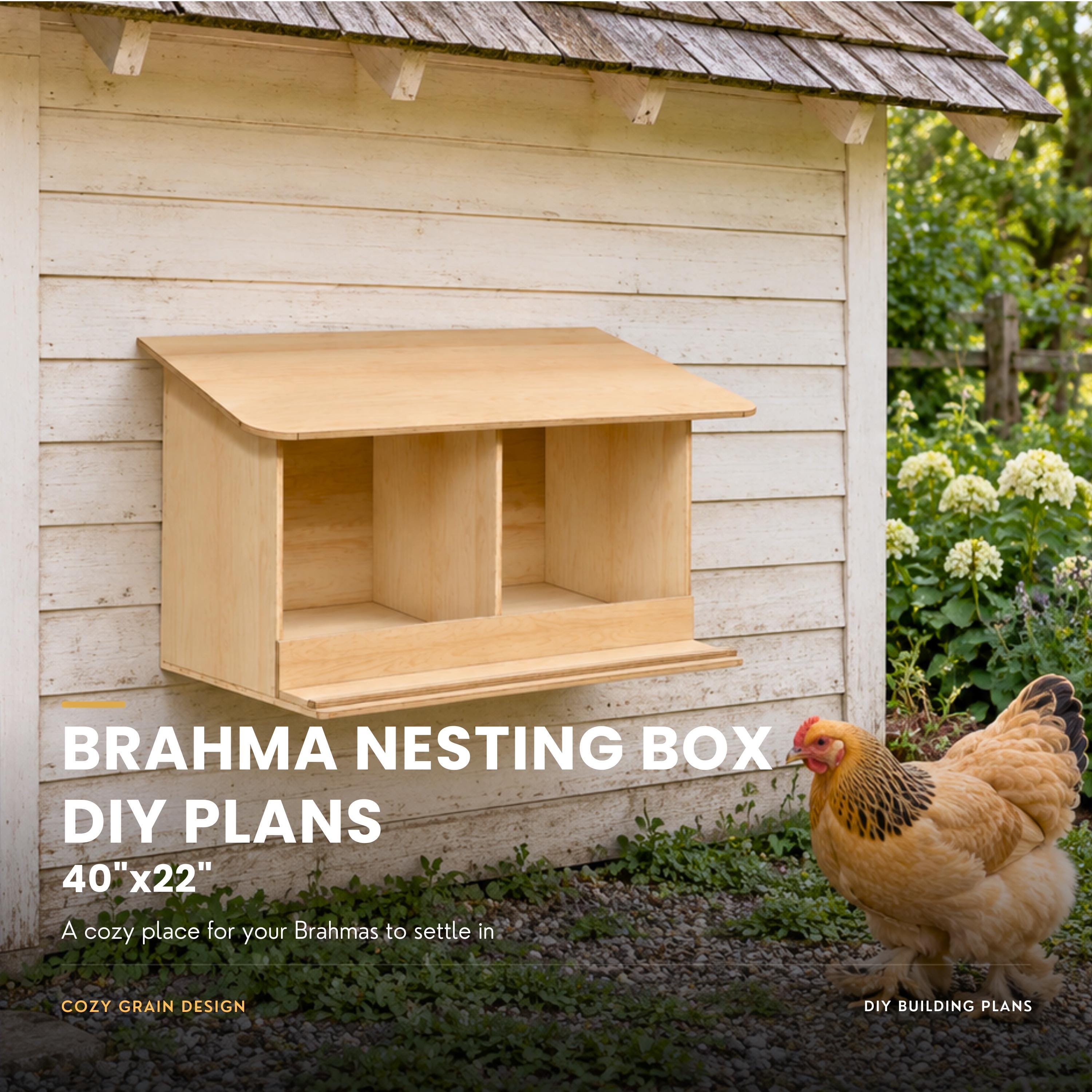 Brahma Nesting Box Plans | Two-Space Wall-Mounted Chicken Nest