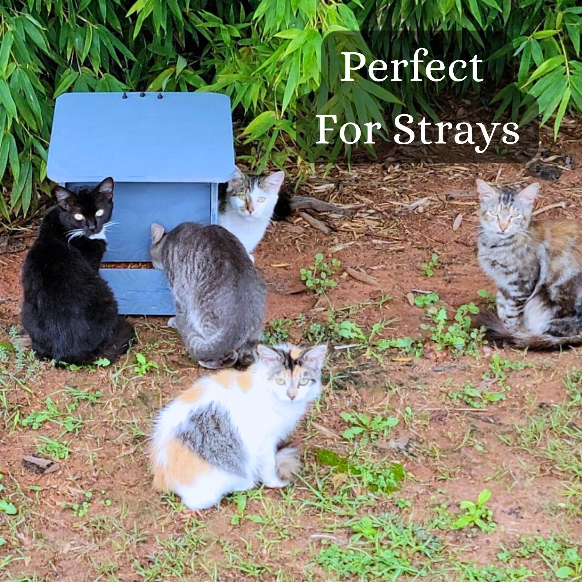 Outdoor Animal Feeder Plans, Gravity-Fed Weatherproof Design with DXF and STL Files, Digital Download image 5