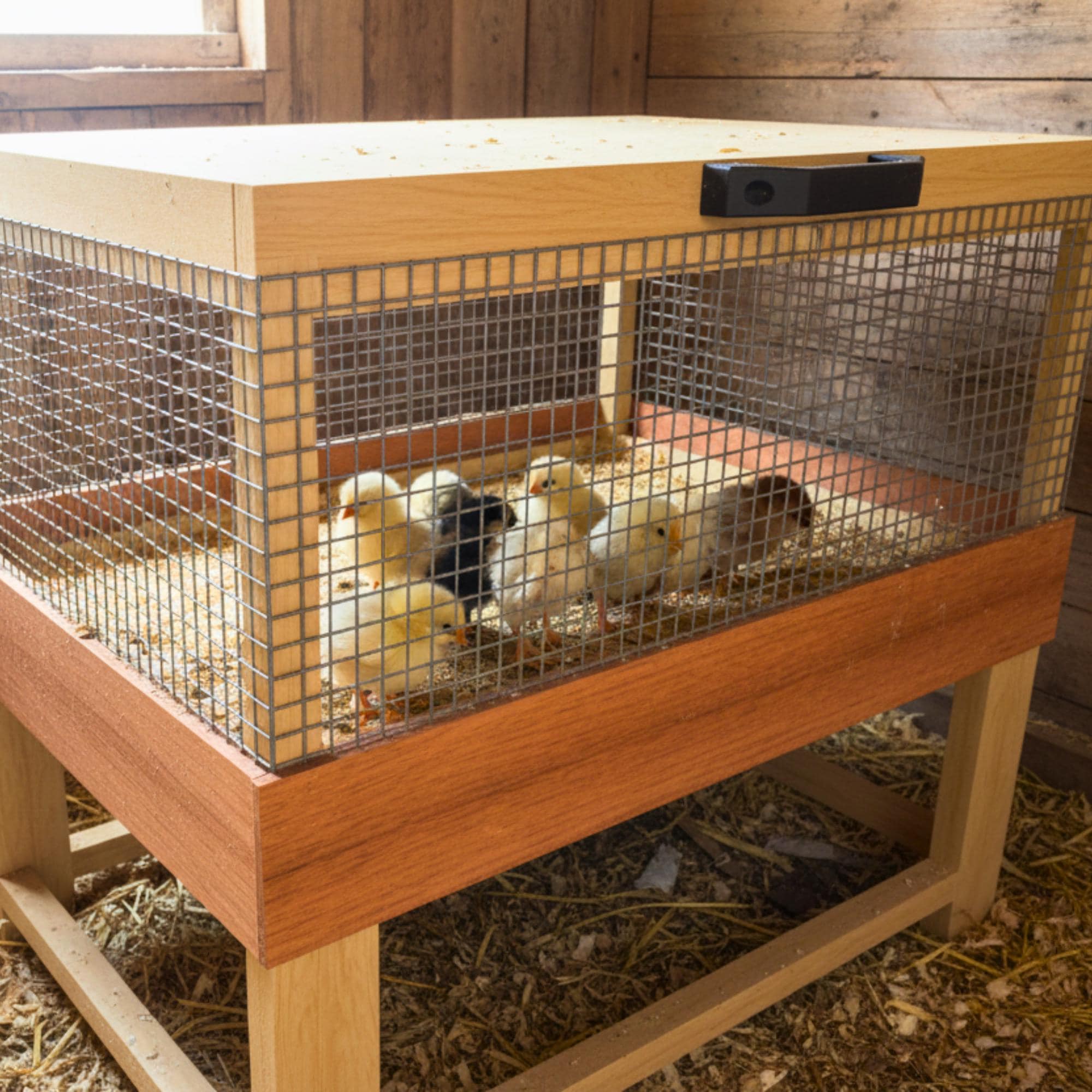 DIY Chicken Brooder & Small Animal Cage Plans: Beginner-Friendly Build Guide (Digital Download) image 3