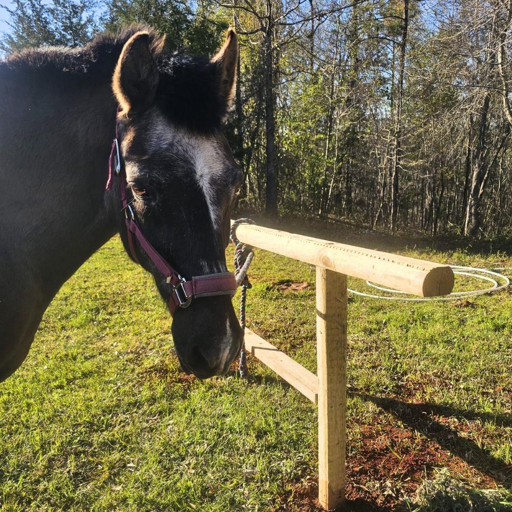 Horse Hitching Post Plans 8-Foot, DIY Western Ranch and Barn Tying Rail, PDF Digital Download image 6