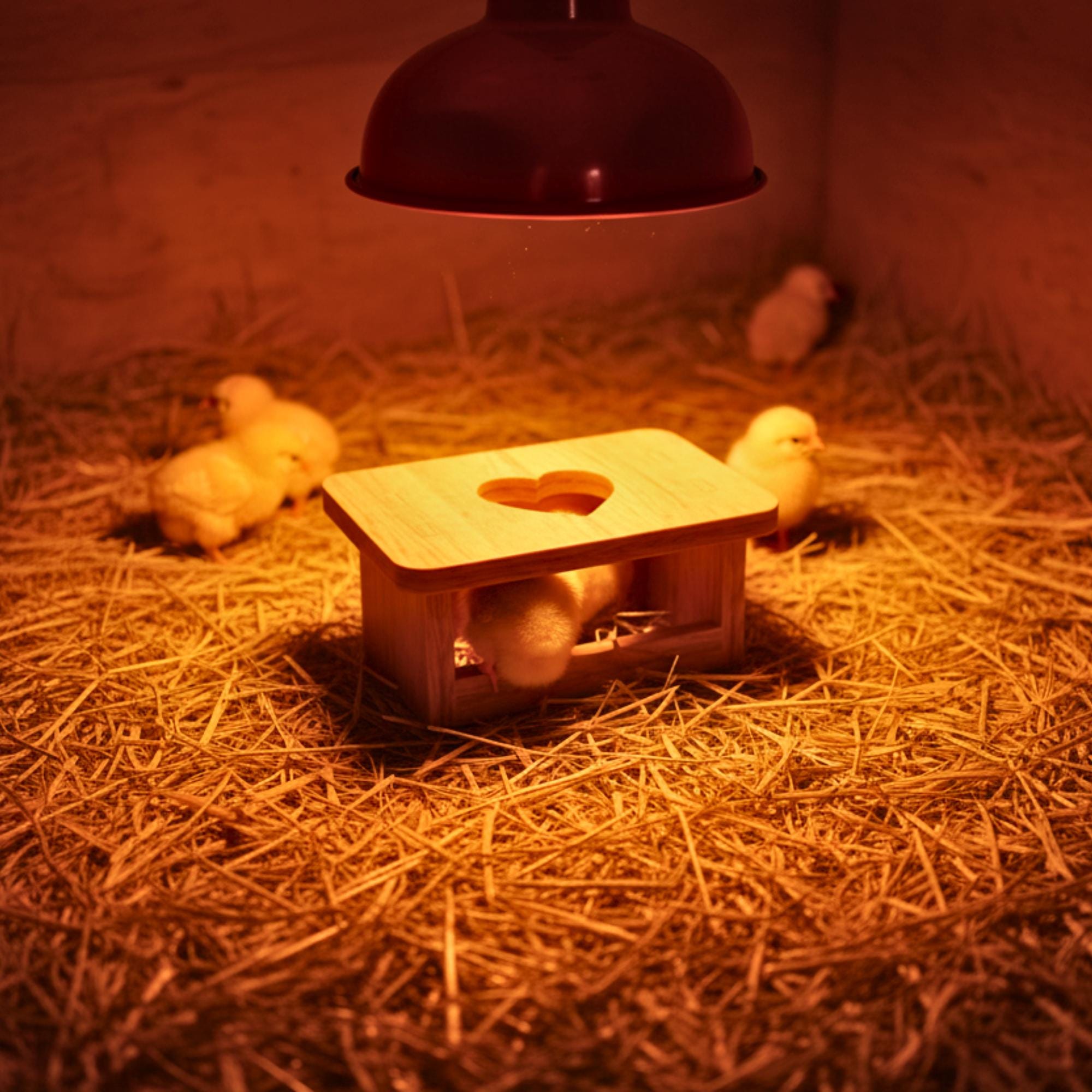 Mini Chicken and Quail Brooder House CNC Files, Roost Training Coop, DXF and STL Digital Download image 7