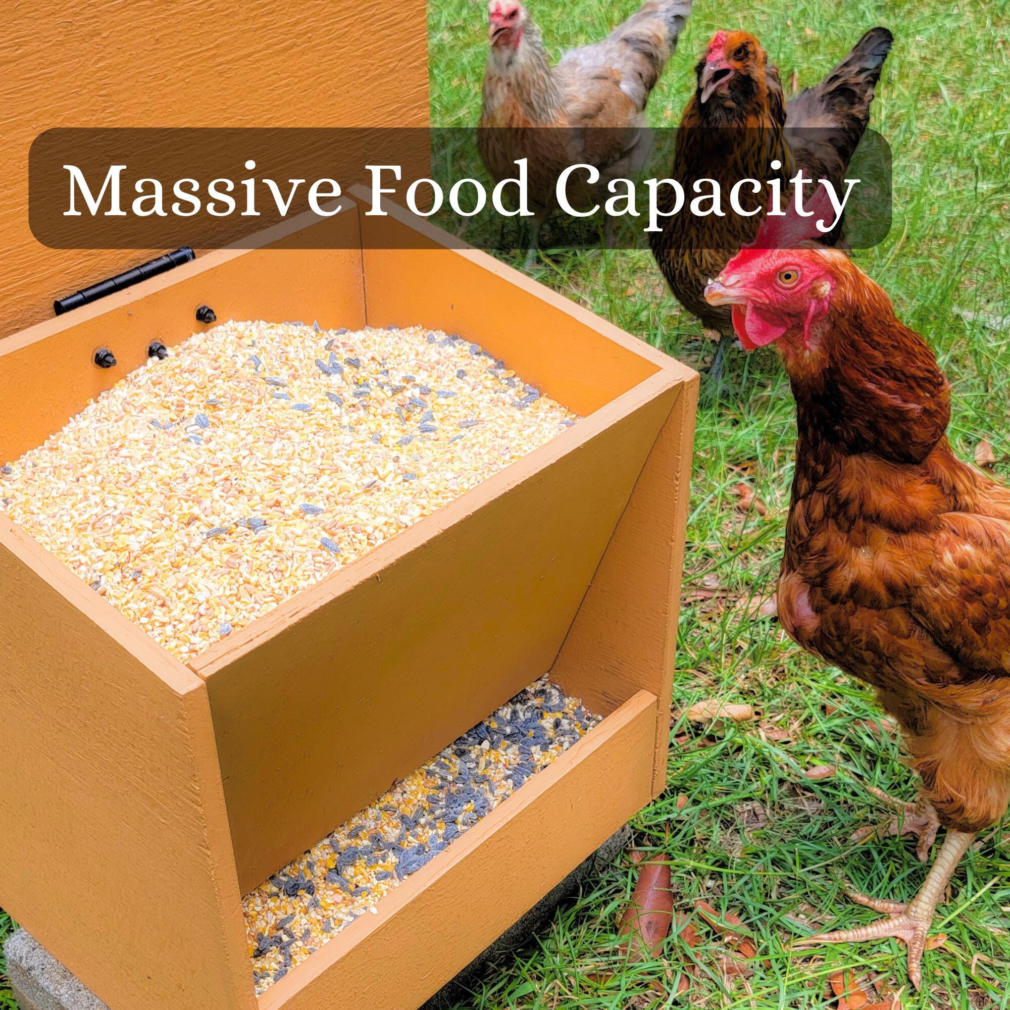 Outdoor Animal Feeder Plans, Gravity-Fed Weatherproof Design with DXF and STL Files, Digital Download image 7