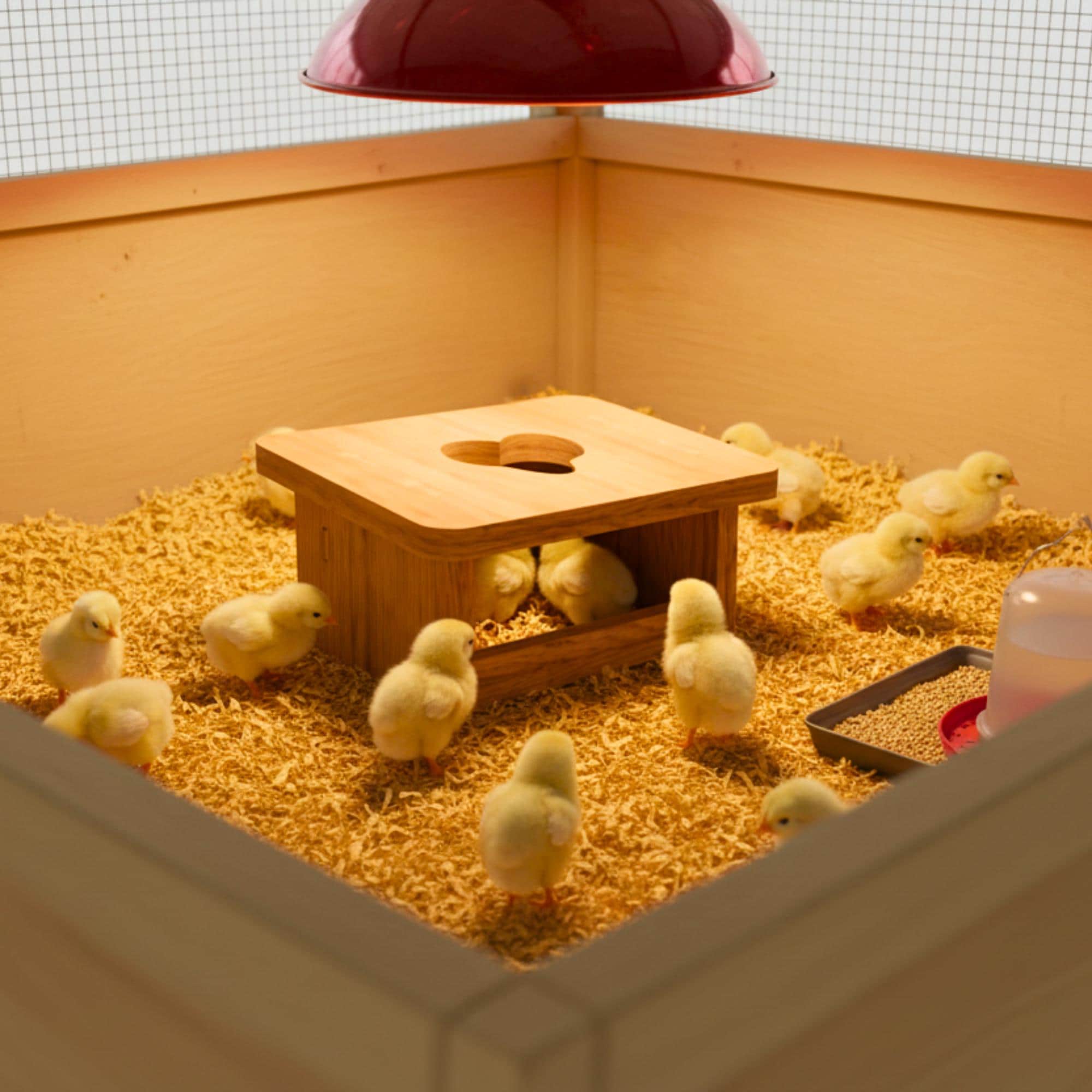 Mini Chicken and Quail Brooder House CNC Files, Roost Training Coop, DXF and STL Digital Download