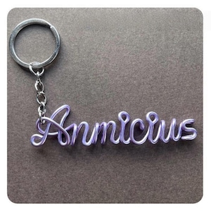 Custom Name Keychain – Handmade Aluminum Wire Script, Personalized Gift for Friends