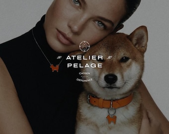 Luxus-Haustier-Groomer-Logo-Vorlage, bearbeitbares Canva-Logo für Hundepflege-Salon, minimalistisches Pet Business Branding Kit, Boutique-Logo-Design