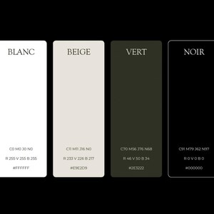 May include: A color palette graphic with four rectangular color swatches labeled Blanc, Beige, Vert, and Noir. Each swatch displays the color's RGB and hexadecimal code. The colors are white, beige, dark green, and black.
