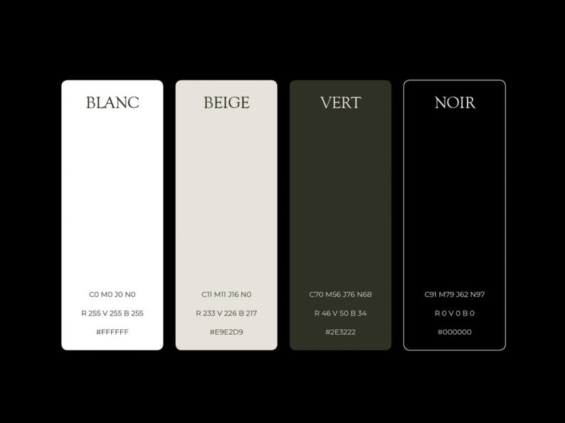 May include: A color palette graphic with four rectangular color swatches labeled Blanc, Beige, Vert, and Noir. Each swatch displays the color's RGB and hexadecimal code. The colors are white, beige, dark green, and black.