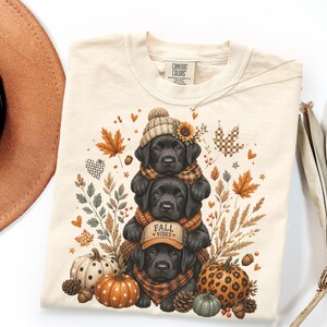 May include: A cream-colored t-shirt featuring a graphic of three stacked black Labrador puppies wearing scarves and hats. The design includes autumn elements like pumpkins, maple leaves, wheat, and acorns. The bottom puppy wears a cap with the text FALL VIBES.