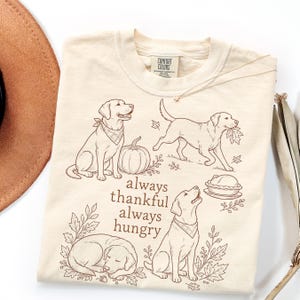 May include: A cream-colored t-shirt featuring brown line art of four Labrador retrievers, a pumpkin, a pie, and autumn leaves. The text "always thankful always hungry" is printed in the center. The shirt has a Comfort Colors brand neck label.