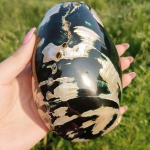 Peut inclure: Coquillage d'ormeau irisé, de forme ovale et polie. La coquille présente une base sombre, presque noire, avec des motifs tourbillonnants blancs et argentés. Plusieurs petits trous sont visibles sur le côté, et la coquille est tenue dans une main.