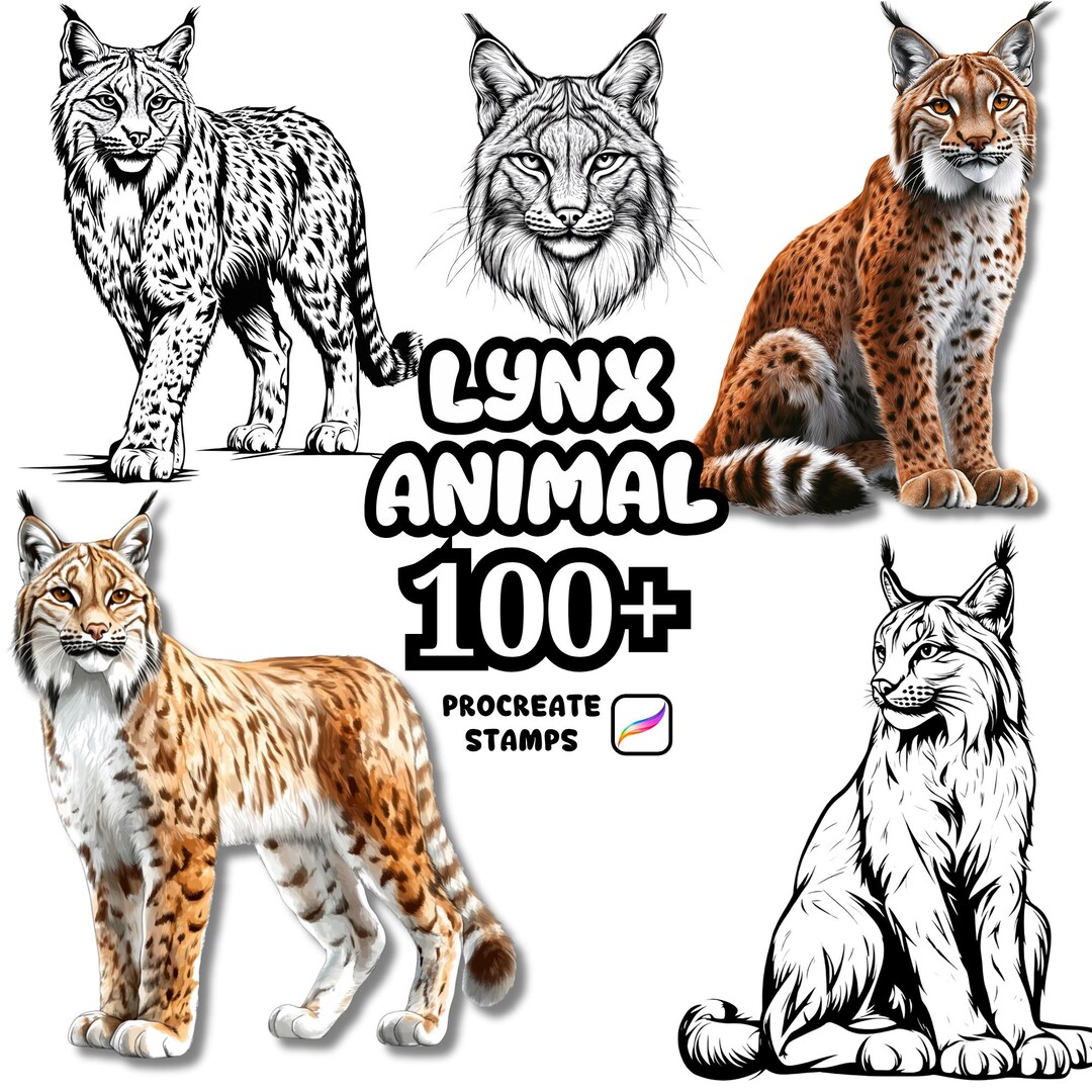 Procreate Animals Brushes, 100+ Lynx Animal Procreate Brushes, Woodland ...