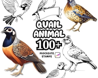Procreate Animals Brushes, 100+ Quail Bird Procreate Brushes, Woodland Animals Procreate, Wild Animals, Farm Animals, Cartoon Quail Bird