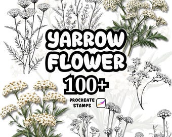 Pincéis de flores para Procreate, mais de 100 carimbos de flores de milefólio para Procreate, Procreate floral, Procreate botânico, natureza, fundo, guirlanda, buquê