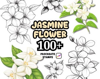 Procreate Flower Brushes, 100+ Jasmine Flower Procreate Stamps, Floral Procreate, Botanical, Nature, Background, Wreath, Bouquet, Flower