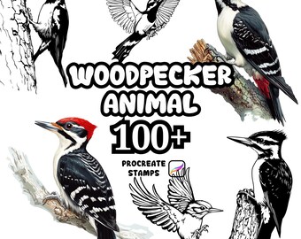Procreate Animals Brushes, 100+ Woodpecker Animal Procreate Brushes, Woodland Animals Procreate, Wild Animals, Farm Animals, Cartoon, Bird