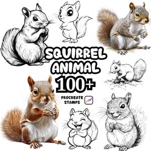 May include: A collection of squirrel illustrations and Procreate stamps. The image features various squirrel designs, including realistic and cartoon styles, in both color and black and white. Text reads "SQUIRREL ANIMAL 100+ PROCREATE STAMPS."