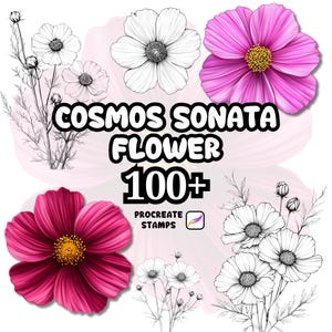 May include: Digital artwork featuring cosmos flowers in black and white and vivid pink and purple. The image includes the text "COSMOS SONATA FLOWER 100+ PROCREATE STAMPS", advertising Procreate stamps.