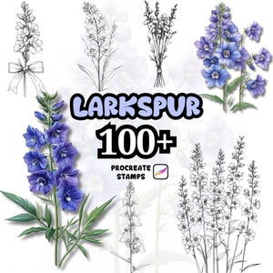 Puede incluir: Imagen con varias ilustraciones de flores de espuela de caballero, incluyendo dibujos lineales detallados y representaciones en acuarela vibrantes. El texto "Larkspur 100+ Procreate Stamps" indica recursos de arte digital.