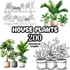 Pode incluir: Imagem que mostra uma coleção de plantas de interior, com desenhos detalhados e ilustrações coloridas. O texto "HOUSE PLANTS 200 PROCREATE STAMPS" está presente, sugerindo selos de arte digital.