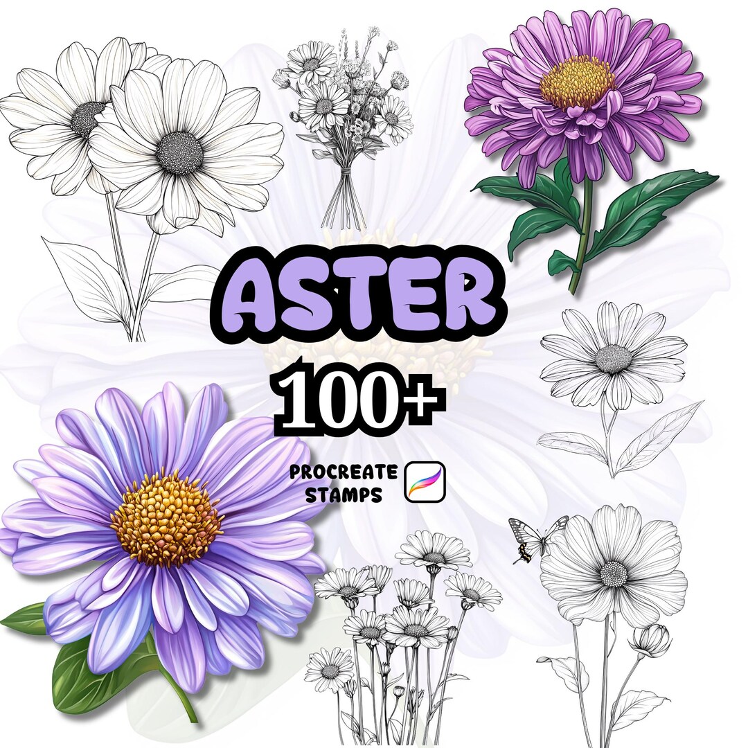 Procreate Flower Brushes, 100+ Aster Flower Procreate Brushes, Floral ...