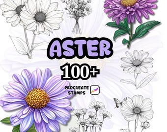 Procreate Flower Brushes, 100+ Aster Flower Procreate Brushes, Floral Procreate, Procreate Brushes, Plants, Wild Flowers, Procreate Aster